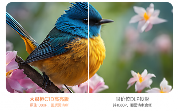 仪推荐租房首选大眼橙C1D高亮版投影仪九游会j9登录2024高性价比卧室投影(图5)